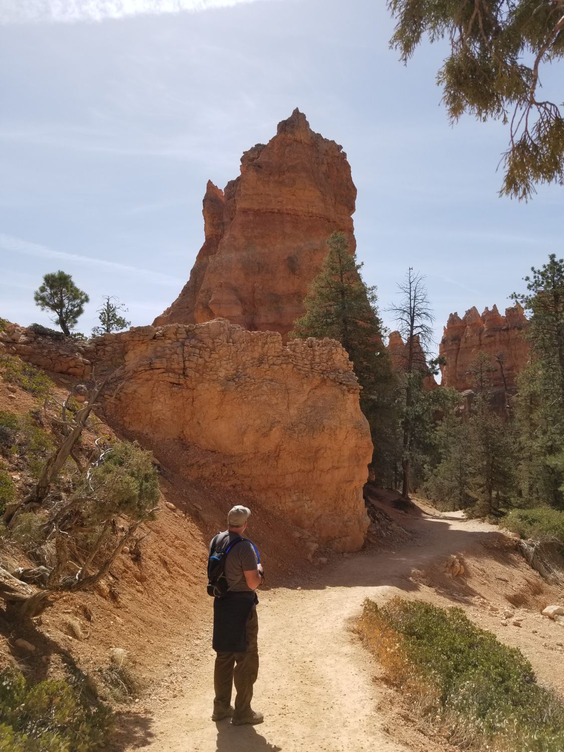 Queens/Navajo 